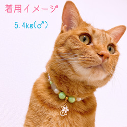 猫の首輪グリーンポップカラービーズ✨ネックレス首輪♡猫のチャーム 5枚目の画像