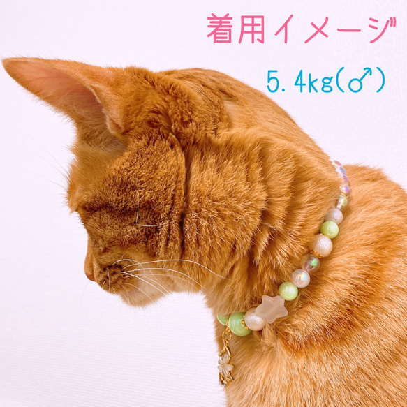猫の首輪グリーンポップカラービーズ✨ネックレス首輪♡猫のチャーム 6枚目の画像