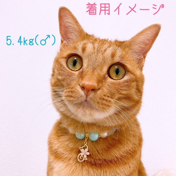 猫の首輪水色ポップカラービーズ✨ネックレス首輪♡猫のチャーム 5枚目の画像