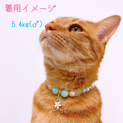猫の首輪水色ポップカラービーズ✨ネックレス首輪♡猫のチャーム 6枚目の画像