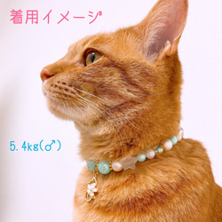 猫の首輪水色ポップカラービーズ✨ネックレス首輪♡猫のチャーム 7枚目の画像