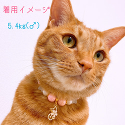 猫の首輪ピンクポップカラービーズ✨ネックレス首輪♡猫のチャーム 5枚目の画像