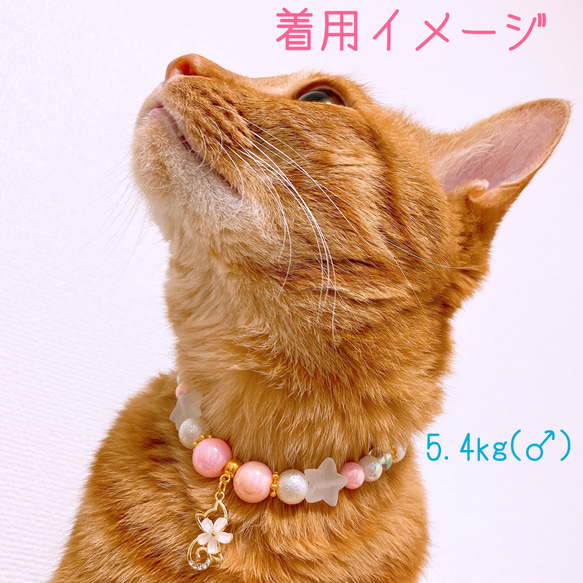 猫の首輪ピンクポップカラービーズ✨ネックレス首輪♡猫のチャーム 6枚目の画像