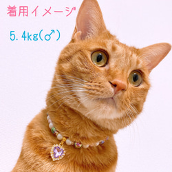 猫の首輪パープルラメビーズ✨ネックレス首輪♡ハートのクリスタルチャーム❤ 6枚目の画像