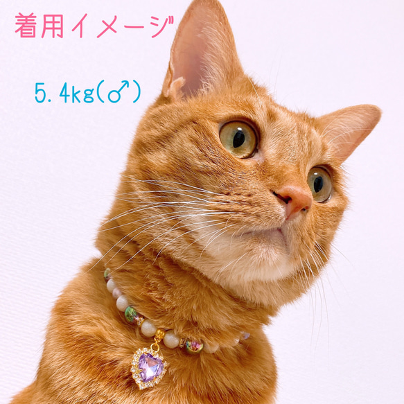 猫の首輪パープルラメビーズ✨ネックレス首輪♡ハートのクリスタルチャーム❤ 7枚目の画像