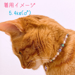 猫の首輪パープルラメビーズ✨ネックレス首輪♡ハートのクリスタルチャーム❤ 8枚目の画像