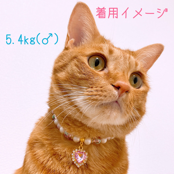 猫の首輪ピンクラメビーズ✨ネックレス首輪♡ハートのクリスタルチャーム❤ 6枚目の画像