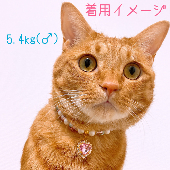 猫の首輪ピンクラメビーズ✨ネックレス首輪♡ハートのクリスタルチャーム❤ 7枚目の画像