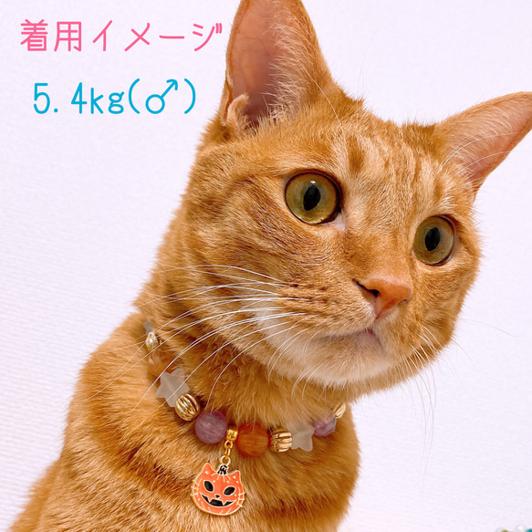 猫の首輪ハロウィン首輪✨ネックレス首輪♡ビーズ✨かぼちゃチャーム 7枚目の画像