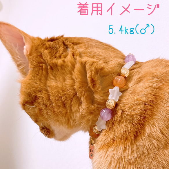 猫の首輪ハロウィン首輪✨ネックレス首輪♡ビーズ✨かぼちゃチャーム 8枚目の画像