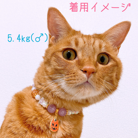 猫の首輪ハロウィン首輪✨ネックレス首輪♡ビーズ✨かぼちゃチャーム 5枚目の画像