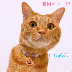 猫の首輪ハロウィン首輪✨ネックレス首輪♡ビーズ✨かぼちゃチャーム 6枚目の画像
