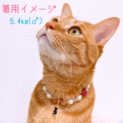 猫の首輪ハート型ビーズ♥️ネックレス首輪✨猫のチャーム‍ 5枚目の画像