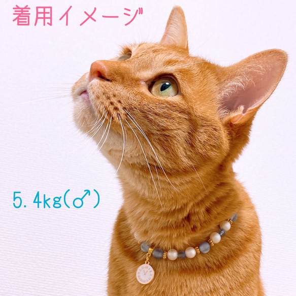 猫の首輪ブルーキャッツアイビーズ✨ネックレス首輪♡時計チャーム 6枚目の画像