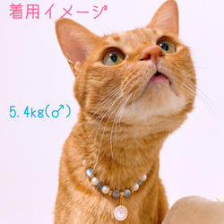 猫の首輪ブルーキャッツアイビーズ✨ネックレス首輪♡時計チャーム 7枚目の画像