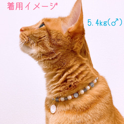 猫の首輪ブルーキャッツアイビーズ✨ネックレス首輪♡時計チャーム 8枚目の画像