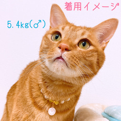 猫の首輪ブルーキャッツアイビーズ✨ネックレス首輪♡時計チャーム 5枚目の画像