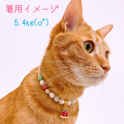猫の首輪クリスマス✨首輪ネックレス首輪♡クリスマスカラー✨ベルのチャーム 5枚目の画像