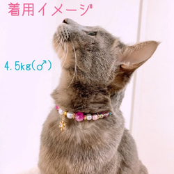 猫の首輪ネックレス首輪♡クリスマス雪の結晶チャーム❄色違いあり☆*° 5枚目の画像