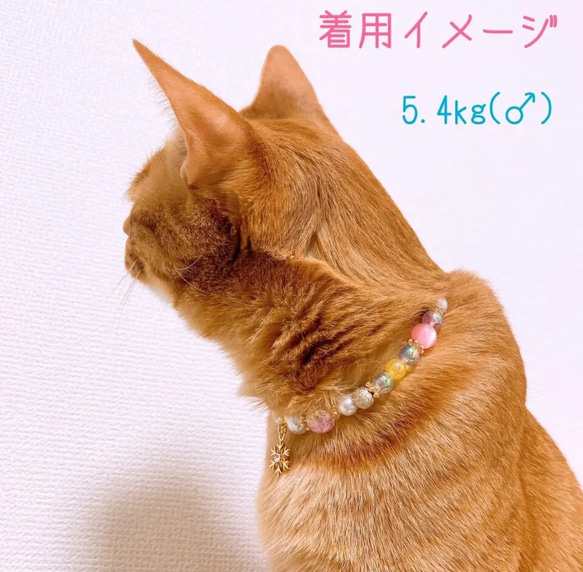 猫の首輪ネックレス首輪♡クリスマス雪の結晶チャーム❄色違いあり☆*° 6枚目の画像