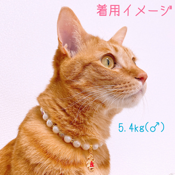猫の首輪 クリスマ首輪 ネックレス首輪♡パールラメビーズ✨ 6枚目の画像