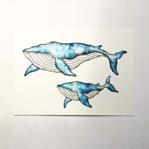 A4 クジラの親子 アートプリント/イラスト複製画 イラスト