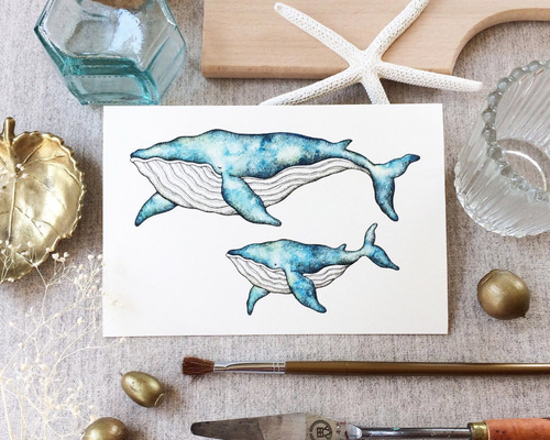 アラスカ Alaska クジラ Whale 親子 水彩画 メアリー