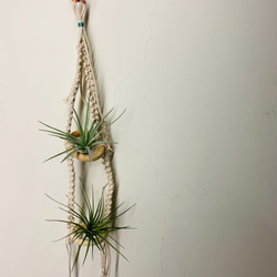 手作りの単一製品エアパイナップルの家の装飾マクラメ、植物なし 3枚目の画像