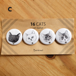 16匹の猫 缶バッジセット 4枚目の画像