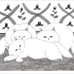 ポストカード6枚セット／三びきの白猫 1枚目の画像