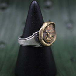 上世紀蠟制的戒指，帶銀勺（斜倚裸體） 第2張的照片