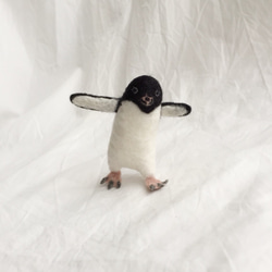 阿德利的胸針企鵝舞 第3張的照片