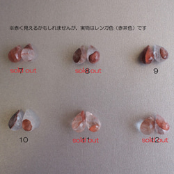  第6張的照片