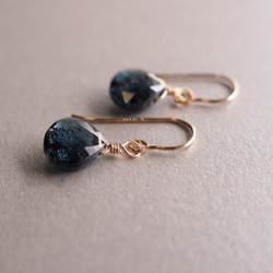 14kgf磨石Moscaianite AAA鐵海軍藍耳環（可更換耳環） 第2張的照片