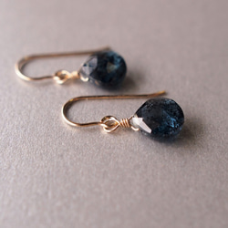 14kgf磨石Moscaianite AAA鐵海軍藍耳環（可更換耳環） 第4張的照片