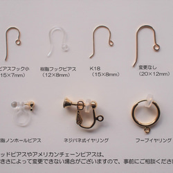 14kgf☆海蛋白石☆高品質天然阿瓦隆貝殼耳環（可更換耳環） 第7張的照片