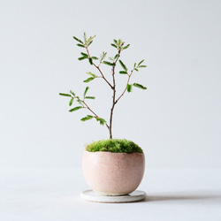 0_d288195c332222f742acedd90942