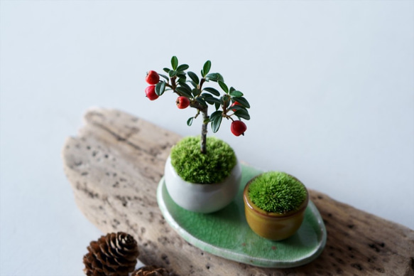 【Creema限定】カマツカコケモモのミニ盆栽・コケ山・花柄皿の3点セット 3枚目の画像