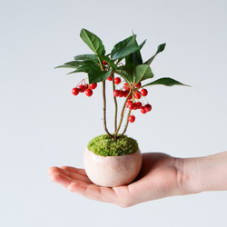 ヤマグチコウジ作　花器及びオーナメント 楽天市場】針のない剣山 ® 高品質 魅せるKAMAHACHIのフラワー