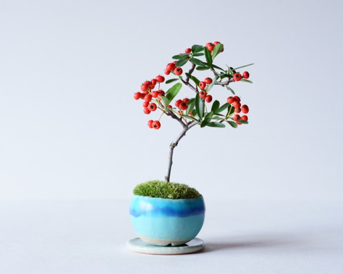 0_ac88dbdce2acc6bc44f51f038f83