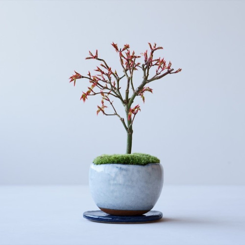 紫陽花新芽葉抜き絵花器(オリジナル陶器）