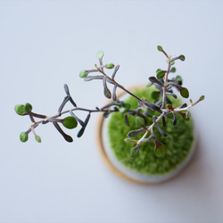 『ｙ＠様専用ページ』コロキアのミニ盆栽｜マーブルのうつわ 5枚目の画像