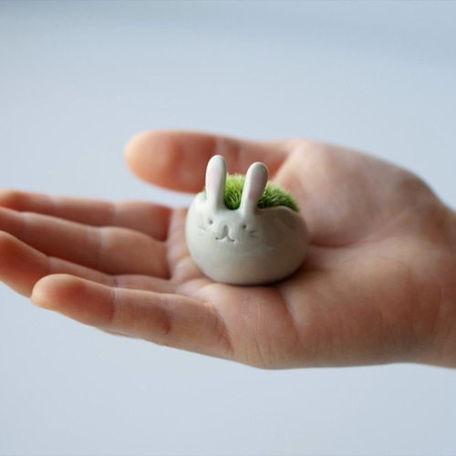 まるうさぎ（小）-moss pet- その他インテリア雑貨 Sekibokka