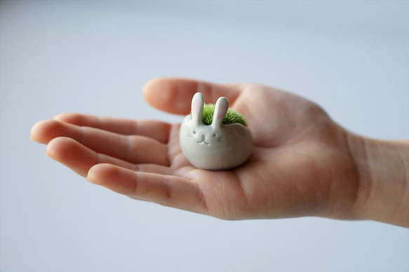 まるうさぎ　❼点 まるうさぎ（小）-moss pet- その他インテリア雑貨 Sekibokka