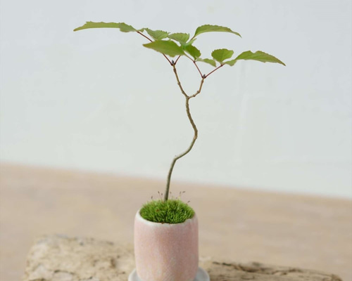 0_ee9b83ff57e26c8a91cab7231baa