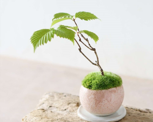 0_a3432b17b6253b726ae14c793fb8