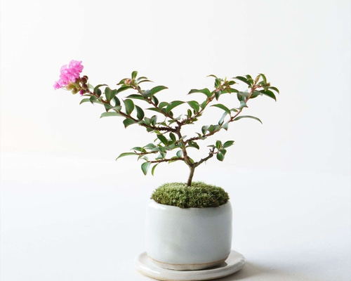 0_afc10eeadeed2d961f5769d83f20