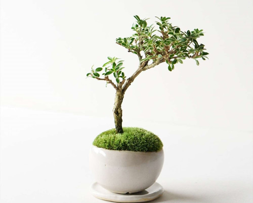 0_2adf7ff823b642919c5822e009c0