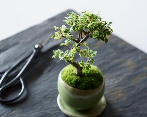 1_052df12067c5516eab61ccf61f3d