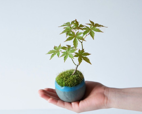 2_bd5bdf24287727ef60a6b984c5f9